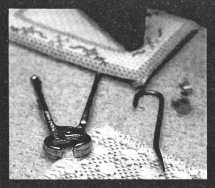 Иллюстрация к книге — Убийства в кукольном доме [pic_6.jpg]