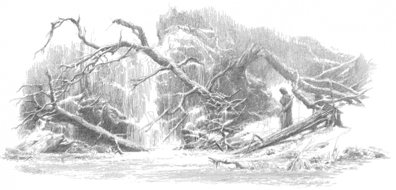 Иллюстрация к книге — Дети Хурина. Нарн и Хин Хурин [_368.jpg]