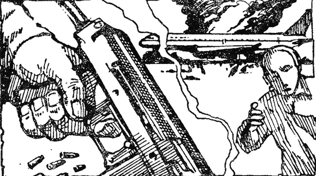 Иллюстрация к книге — Проект &quot;Мегаполис&quot; [i_001.jpg]