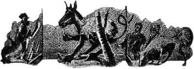 Иллюстрация к книге — Таинственные изобретения доктора Хэкенсоу [i_019.jpg]