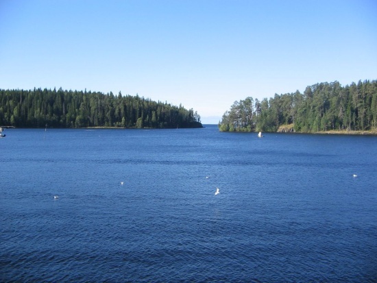 Иллюстрация к книге — Последний герой нашего времени [i_005.jpg]