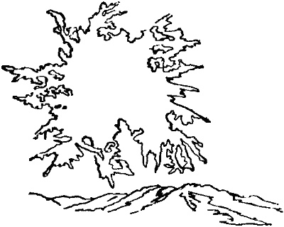 Иллюстрация к книге — Серые муравьи [i_003.jpg]