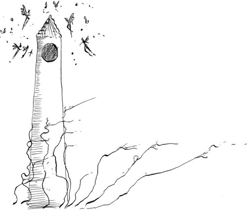 Иллюстрация к книге — Феи западных морей [i_033.jpg]