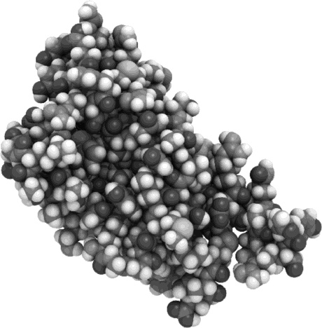 Иллюстрация к книге — Шестое вымирание [_15.jpg]