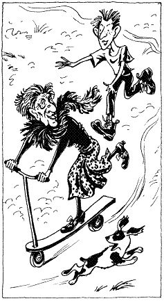 Иллюстрация к книге — Безумное лето Рудольфа [pic_1.jpg]