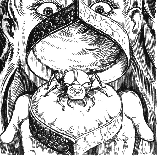 Иллюстрация к книге — Осторожно! Злой препод! [i_013.jpg]