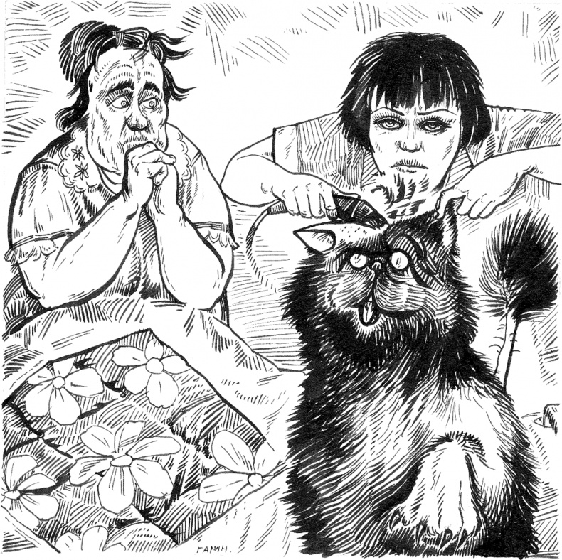 Иллюстрация к книге — Новые байки со &quot;скорой&quot;, или Козлы и хроники [i_004.jpg]