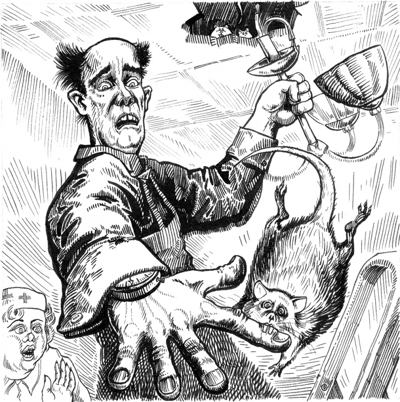 Иллюстрация к книге — Новые байки со &quot;скорой&quot;, или Козлы и хроники [i_008.jpg]