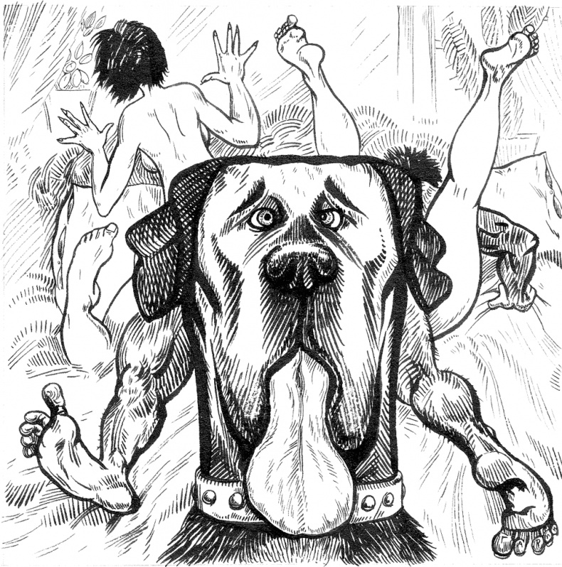 Иллюстрация к книге — Новые байки со &quot;скорой&quot;, или Козлы и хроники [i_017.jpg]