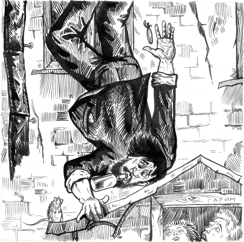 Иллюстрация к книге — Новые байки со &quot;скорой&quot;, или Козлы и хроники [i_018.jpg]