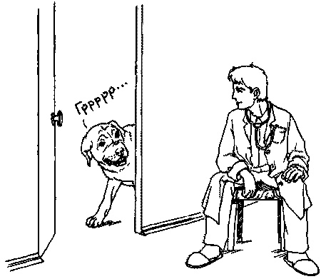 Иллюстрация к книге — Салют, Варварята! [i_002.jpg]