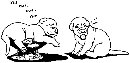 Иллюстрация к книге — Салют, Варварята! [i_006.jpg]