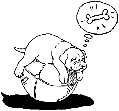 Иллюстрация к книге — Салют, Варварята! [i_008.jpg]