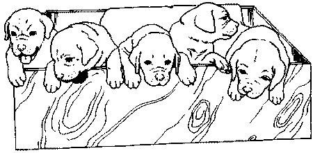 Иллюстрация к книге — Салют, Варварята! [i_009.jpg]