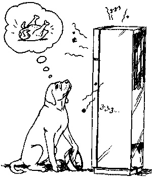 Иллюстрация к книге — Салют, Варварята! [i_018.jpg]