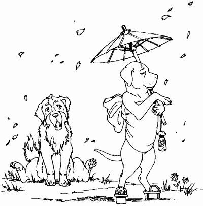 Иллюстрация к книге — Мы с Варварой ходим парой... [i_008.jpg]