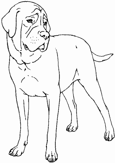 Иллюстрация к книге — Мы с Варварой ходим парой... [i_010.jpg]