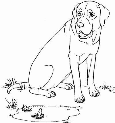 Иллюстрация к книге — Мы с Варварой ходим парой... [i_013.jpg]