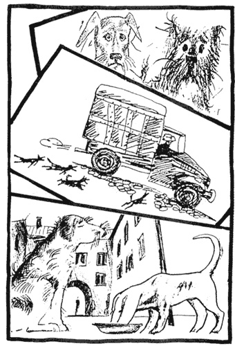 Иллюстрация к книге — Теза с нашего двора [i_014.jpg]