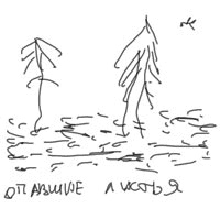 Иллюстрация к книге — Американская ария князя Игоря, или История одного реального путешествия [i_012.jpg]