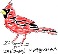 Иллюстрация к книге — Американская ария князя Игоря, или История одного реального путешествия [i_045.jpg]