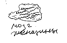 Иллюстрация к книге — Записки невесты программиста [i_023.jpg]