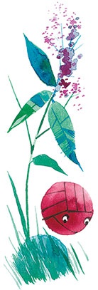 Иллюстрация к книге — Лекарство от послушности [i_006.jpg]