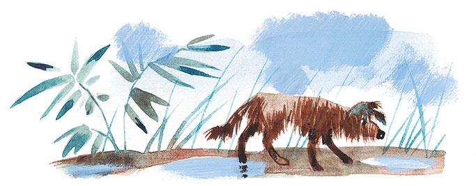 Иллюстрация к книге — Лекарство от послушности [i_024.jpg]