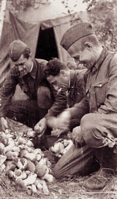 Иллюстрация к книге — Странники войны. Воспоминания детей писателей. 1941-1944 [Autogen_eBook_id181.jpg]