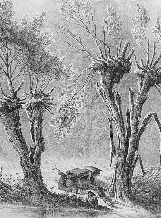 Иллюстрация к книге — Не опали меня, Купина. 1812 [i_006.jpg]