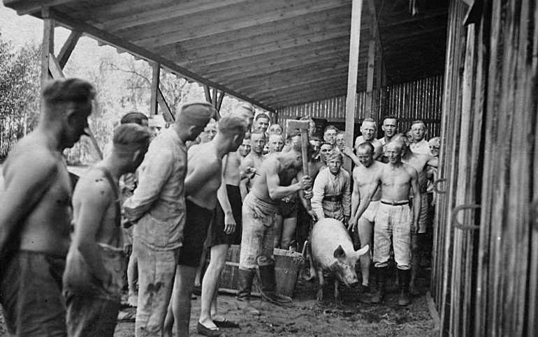 Иллюстрация к книге — За плечами ХХ век [Autogen_eBook_id31.jpg]