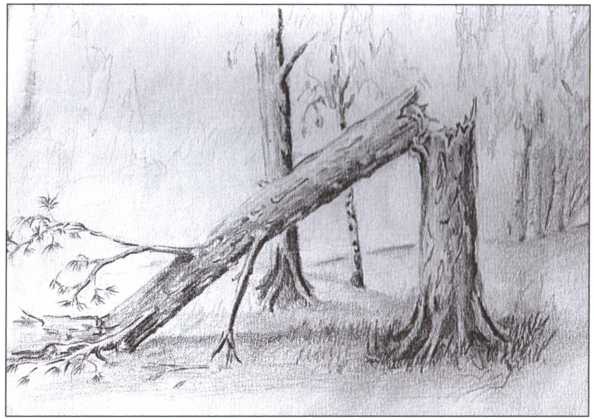 Иллюстрация к книге — Выжить и вернуться. Одиссея советского военнопленного. 1941-1945 [i_006.jpg]