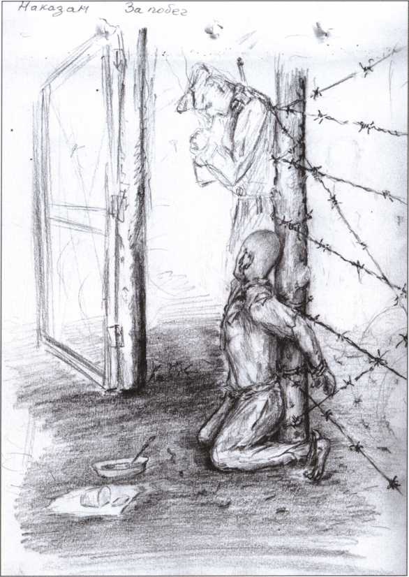 Иллюстрация к книге — Выжить и вернуться. Одиссея советского военнопленного. 1941-1945 [i_008.jpg]