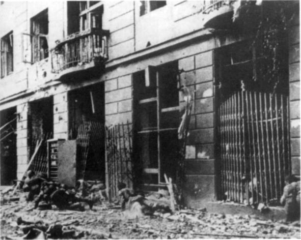 Иллюстрация к книге — Наемники Фюрера [pic_11.jpg]