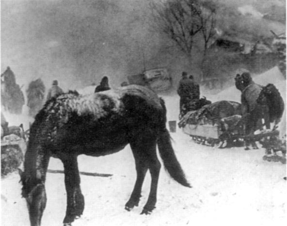 Иллюстрация к книге — Наемники Фюрера [pic_15.jpg]