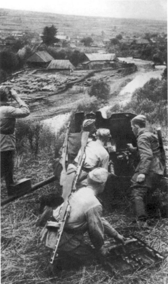 Иллюстрация к книге — Наемники Фюрера [pic_16.jpg]