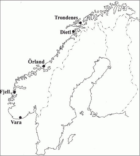 Иллюстрация к книге — Атлантический вал Гитлера [_09.jpg]