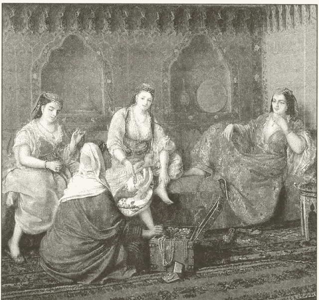 Иллюстрация к книге — Взлет и падение Османской империи [i_064.jpg]