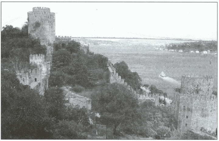 Иллюстрация к книге — Взлет и падение Османской империи [i_115.jpg]