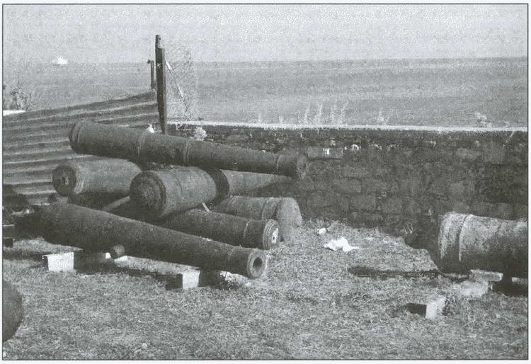 Иллюстрация к книге — Взлет и падение Османской империи [i_133.jpg]