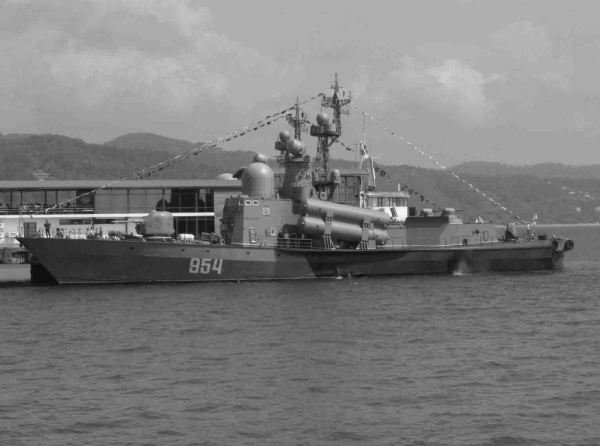 Иллюстрация к книге — Война и мир Закавказья за последние три тысячи лет [i_053.jpg]