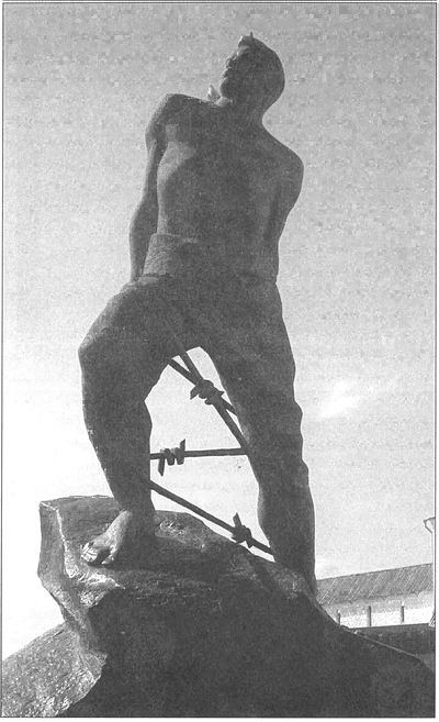 Иллюстрация к книге — Татары и русские в едином строю [i_059.jpg]