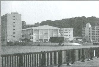 Иллюстрация к книге — Япония. Незавершенное соперничество [i_175.jpg]