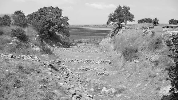 Иллюстрация к книге — Троянский конь западной истории [i_011.jpg]