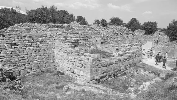 Иллюстрация к книге — Троянский конь западной истории [i_016.jpg]