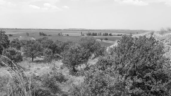 Иллюстрация к книге — Троянский конь западной истории [i_030.jpg]