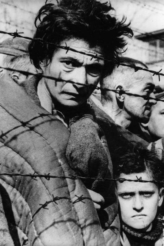 Иллюстрация к книге — Нацисты. Предостережение истории [i_006.jpg]