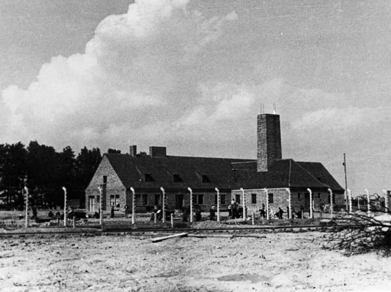 Иллюстрация к книге — Освенцим. Нацисты и &quot;окончательное решение еврейского вопроса&quot; [i_028.jpg]