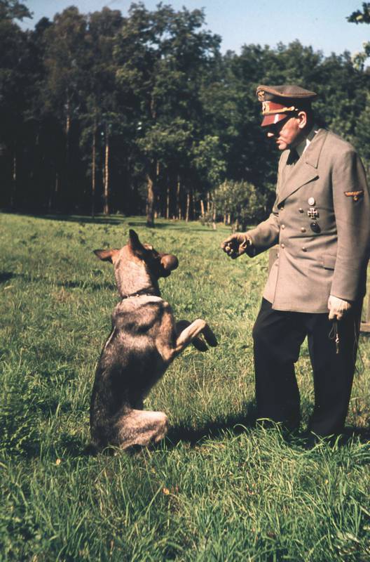 Иллюстрация к книге — Темная харизма Адольфа Гитлера. Ведущий миллионы в пропасть [i_029.jpg]