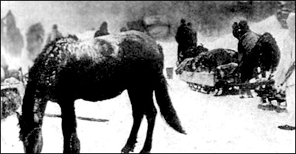 Иллюстрация к книге — &quot;Крестовый поход на Восток&quot;. Гитлеровская Европа против России [_0112.jpg]